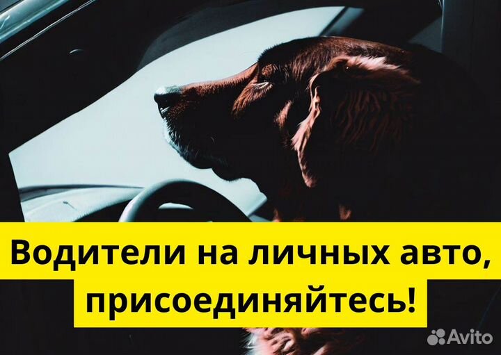 Работайте в Яндекс.Go на своем авто