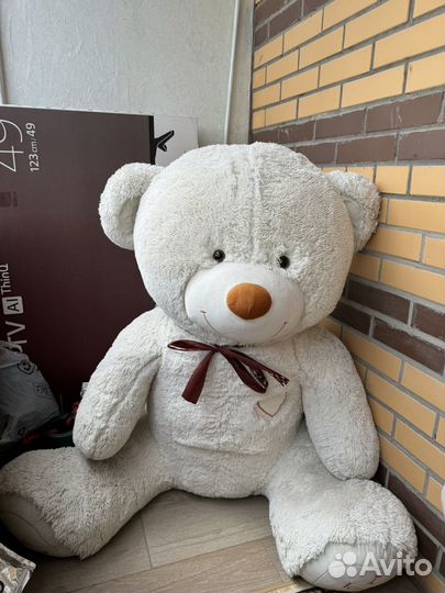 Плюшевый мишка