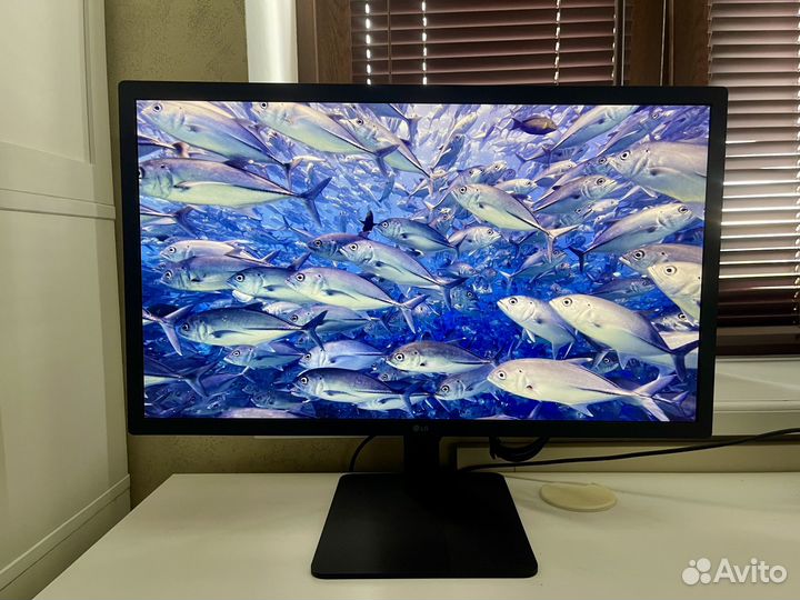 Монитор 24 LG UltraFine 4K