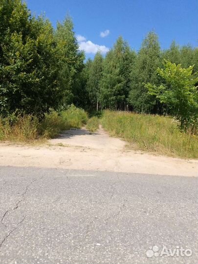 Дрова бесплатно