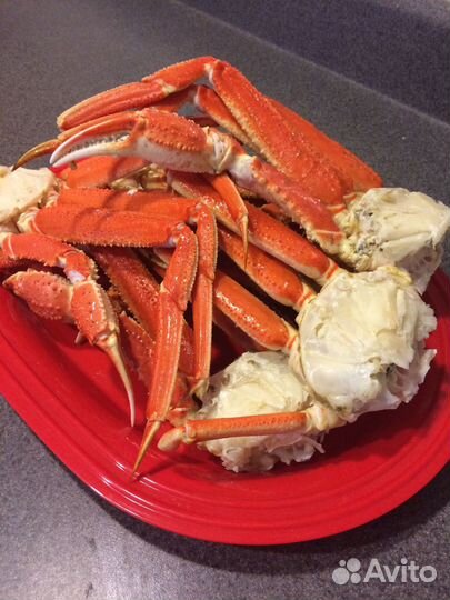 Рыба свежемороженая