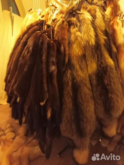 Шкуры лисы