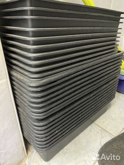 Ящик для рассады