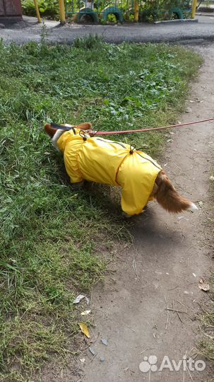 Дождевик для собаки