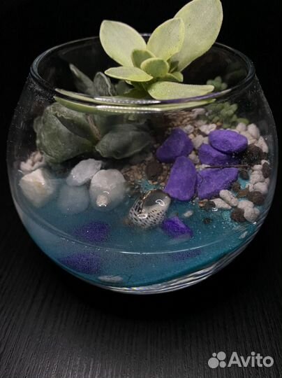 Флорариум мини