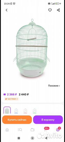 Попугай корелла с клеткой