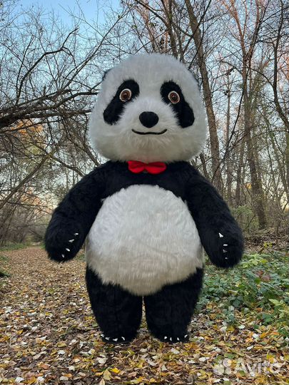 Панда поздравление