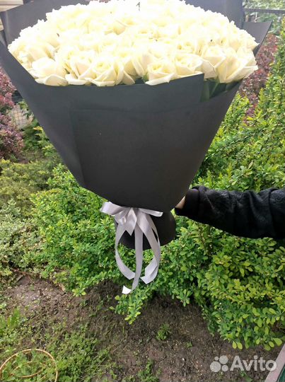 Розы, букет цветов 101 роза