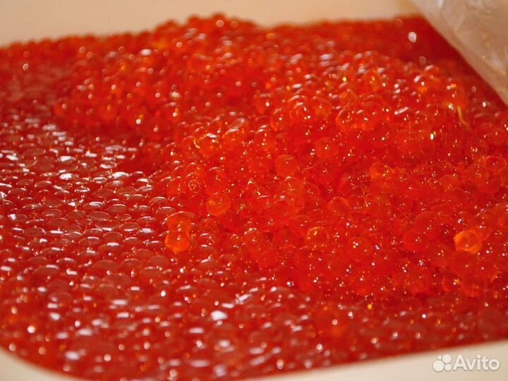 Икра кеты 2023