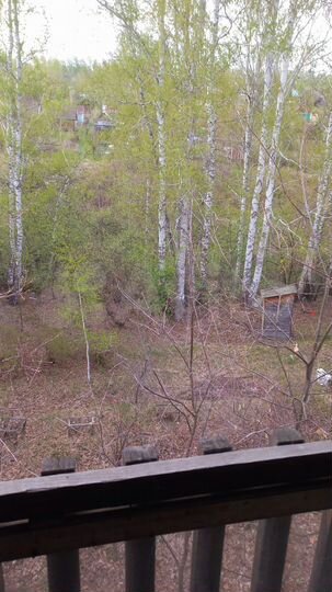 Дом 50 м² на участке 10 сот.