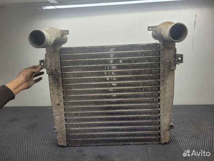 Интеркулер Renault Midlum 2001