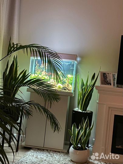Аквариум 50 литров