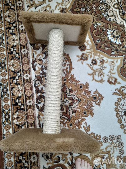 Когтеточка для кошек бу