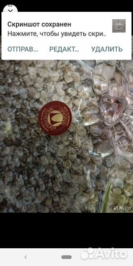 Ваза для фруктов. Германия