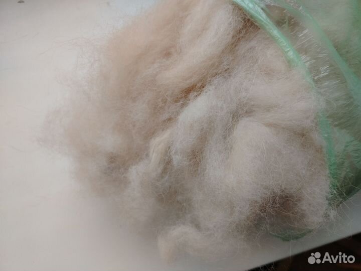 Пух собачий