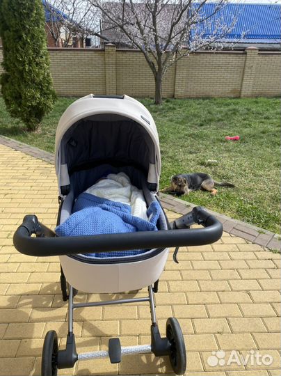 Коляска anex e type 2 в 1 цвет Пепельный