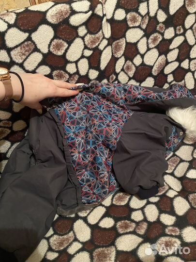 Одежда для средних собак