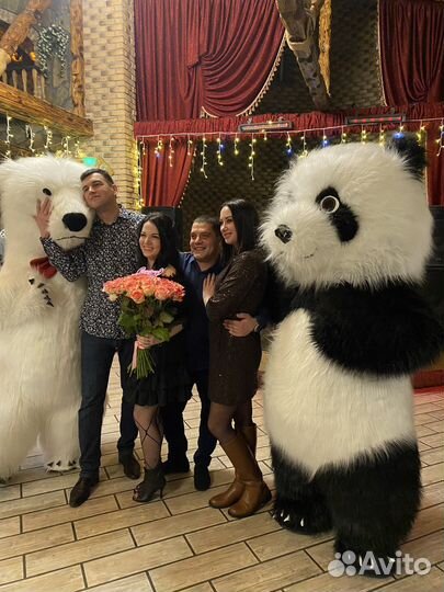 Белый Мишка и Панда поздравление