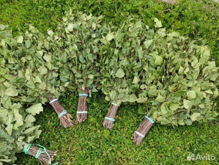 Веники для бани