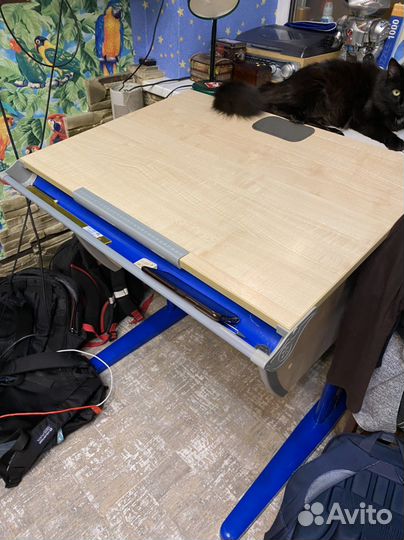 Растущая парта и стул дэми с полками б/у