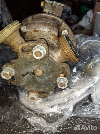 Насос шнк15-2. Пищевой. Для вязких продуктов