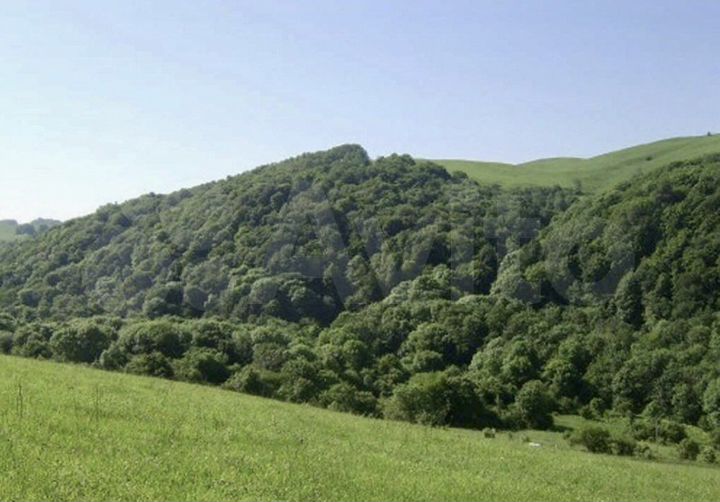 Участок 3,7 га (СНТ, ДНП)