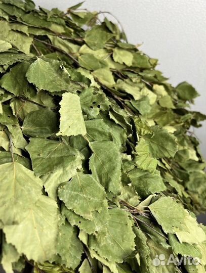 Веники для бани береза дуб пихта