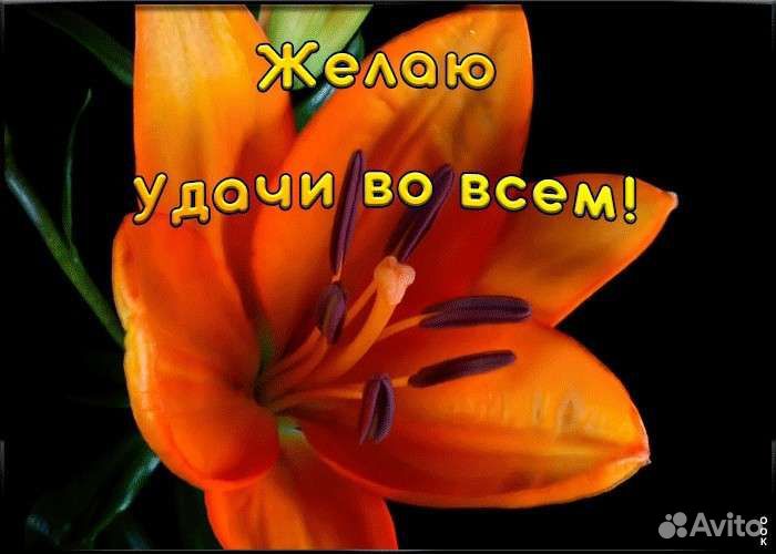 Помогу с немецким и английским языком