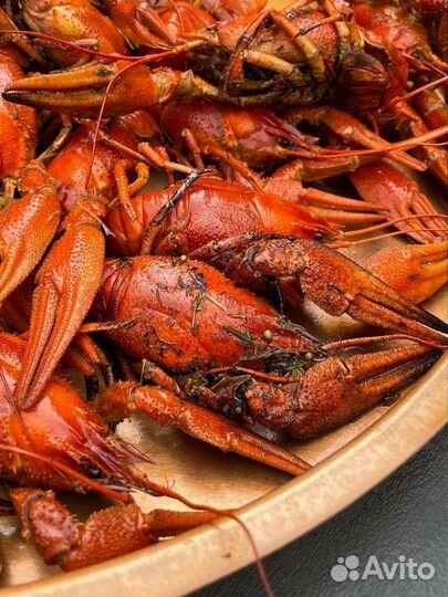 Живые и Вареные раки