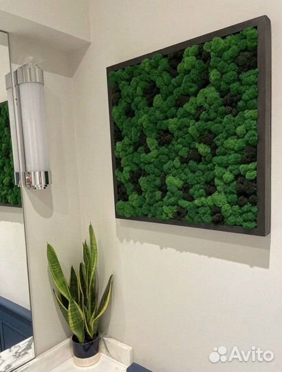 Панно и картины из стабилизированного мха