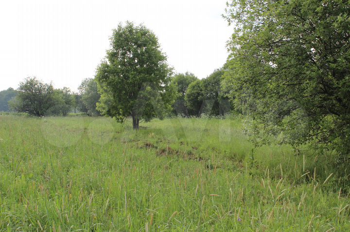 Участок 54 сот. (ИЖС)