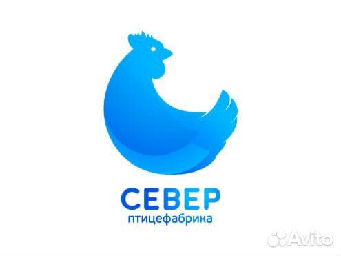 Дезинфектор