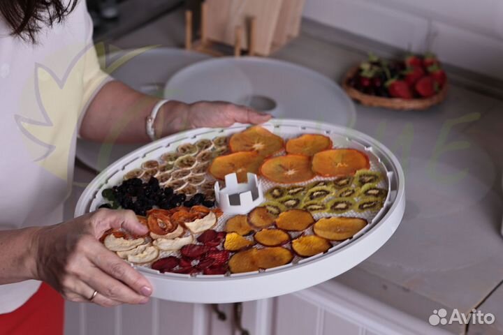 Сушилка для овощей и фруктов Ezidri Ultra FD1000 D