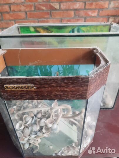 Аквариум