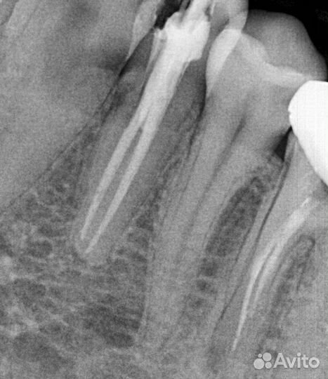 Стоматолог