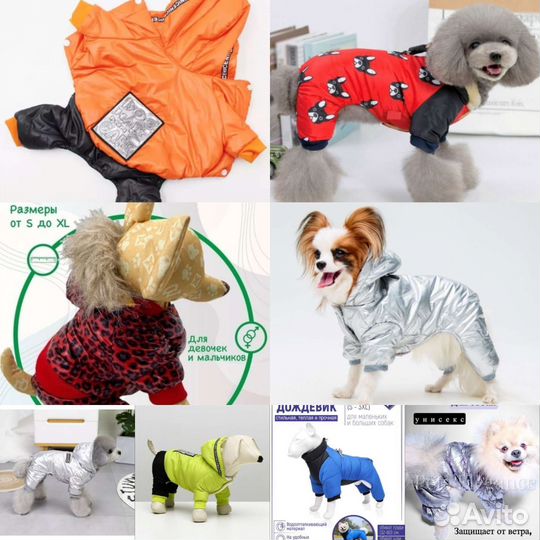 Одежда для собак в ассортименте