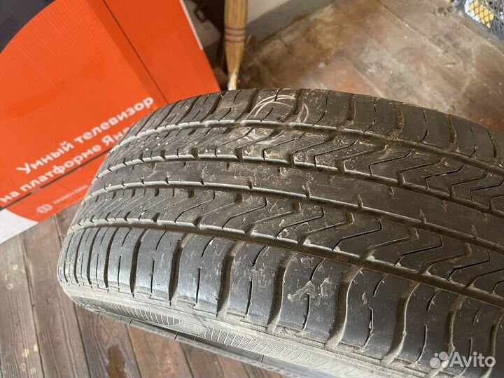 Accelera Gamma 195/55 R16 19B