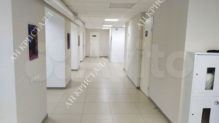 Торговая площадь 326.9м². Первая линия. На трафике