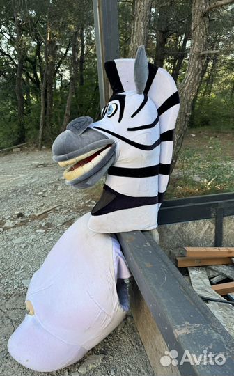 Ростовой костюм зебры