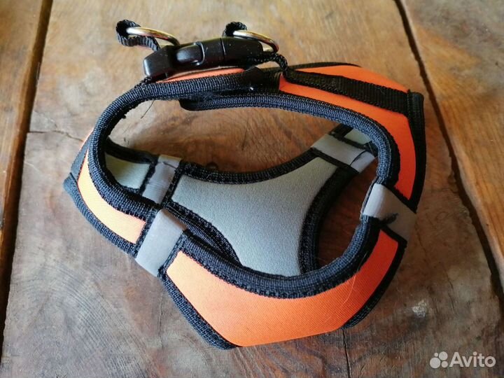 Амуниция для собак