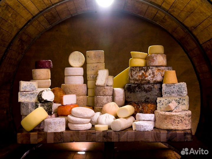 Сыр оптом