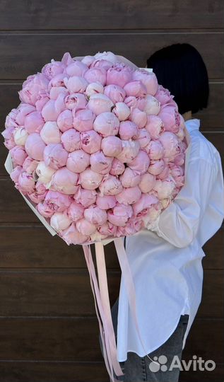 Букеты из Пионов 51 101 Пион с доставкой