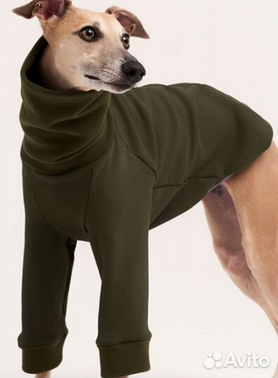 Футболка для собак