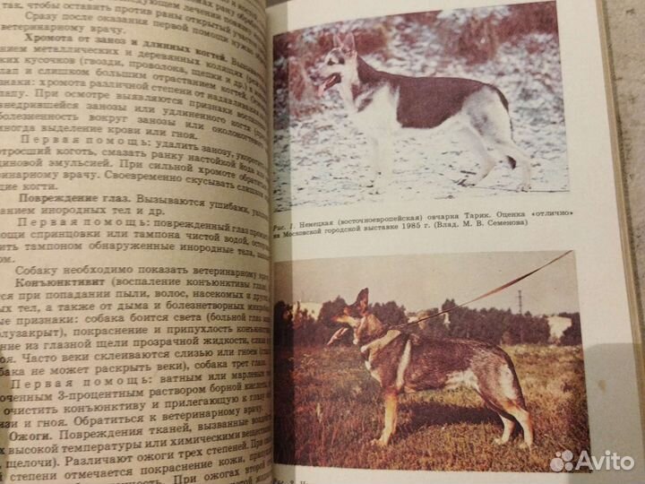 Служебное собаководство