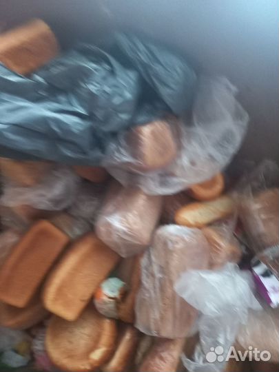 Продам на корм животным