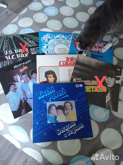 Виниловые пластинки СССР