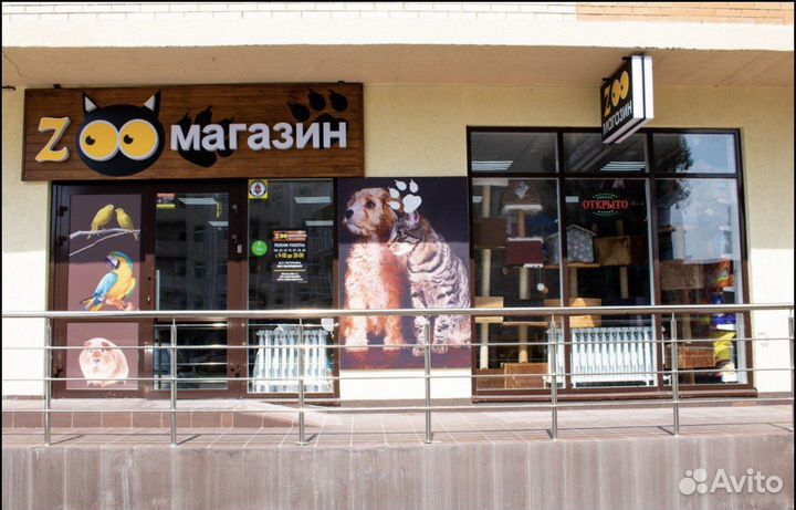 Продавец кассир в Зоомагазине 2/2