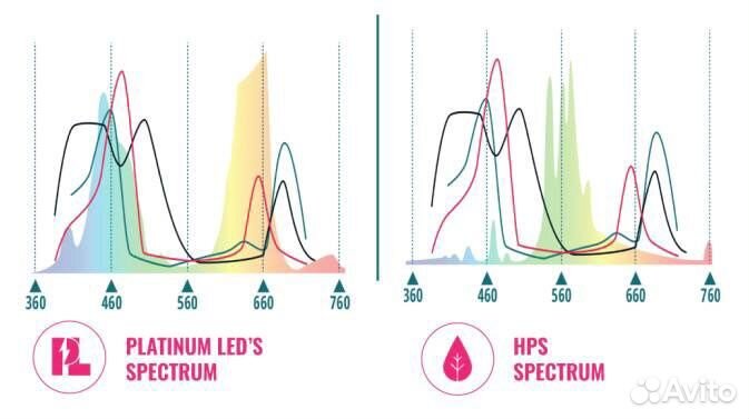 Профессиональная LED фитолампа, platinumled P300