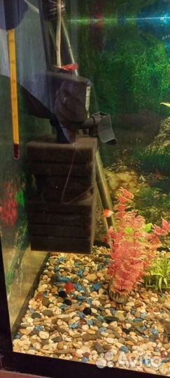 Аквариум с тумбой 200литров