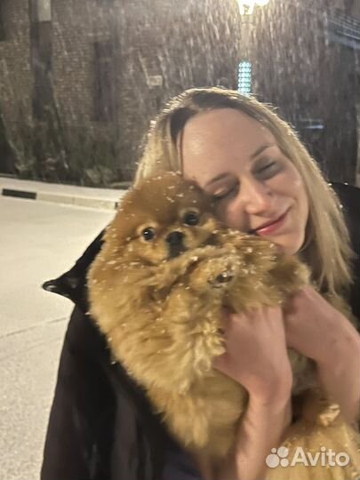 Передержка животных:кошки, собаки, птицы,грызуны